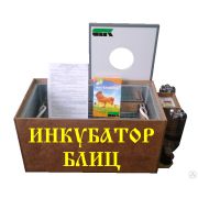 Инкубатор Блиц 72 цифровой